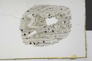 Plane Polarized, S32039