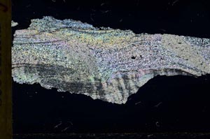 Cross Polarized, S32040