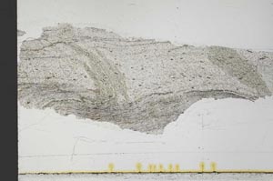 Plane Polarized, S32040