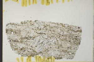 Plane Polarized, S32041