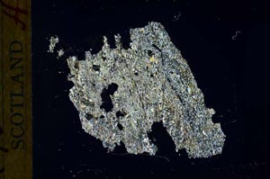 Cross Polarized, S32042