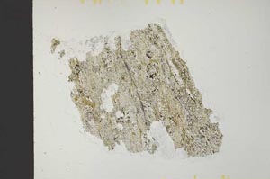 Plane Polarized, S32042