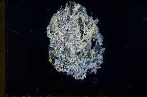 Cross Polarized, S32043