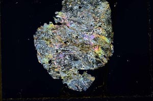 Cross Polarized, S32044