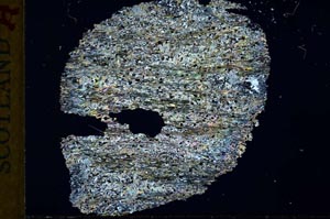 Cross Polarized, S32045