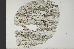 Plane Polarized, S32045