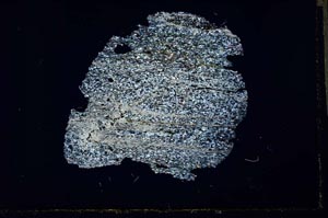 Cross Polarized, S32046