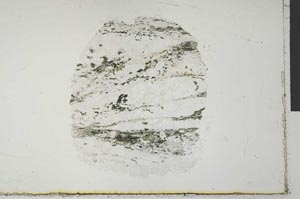 Plane Polarized, S32047