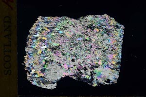 Cross Polarized, S32048