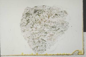 Plane Polarized, S32049