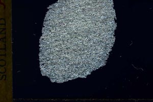 Cross Polarized, S32050