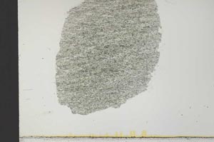 Plane Polarized, S32050