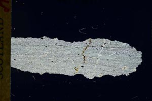 Cross Polarized, S32051