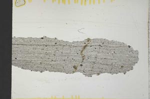 Plane Polarized, S32051