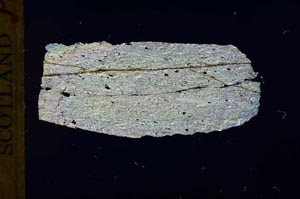 Cross Polarized, S32052