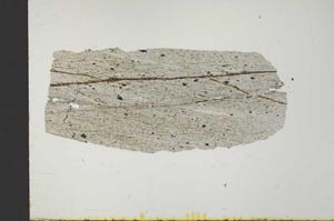 Plane Polarized, S32052