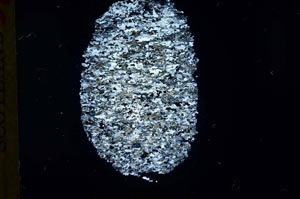 Cross Polarized, S32055