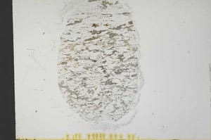 Plane Polarized, S32055