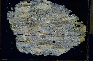 Cross Polarized, S32056