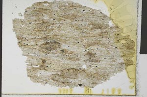 Plane Polarized, S32056