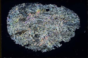 Cross Polarized, S32057