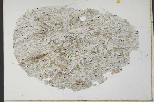 Plane Polarized, S32057