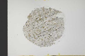 Plane Polarized, S32057/A