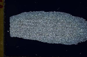 Cross Polarized, S32058