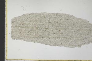 Plane Polarized, S32058