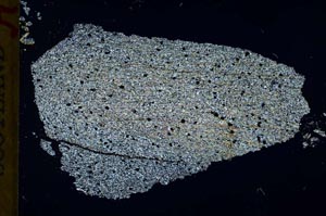 Cross Polarized, S32059