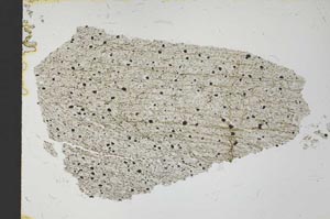 Plane Polarized, S32059