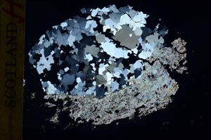 Cross Polarized, S32060