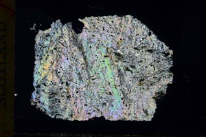 Cross Polarized, S32061