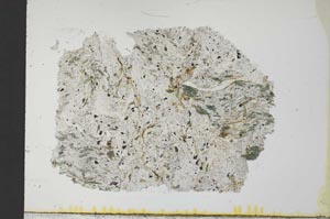 Plane Polarized, S32061