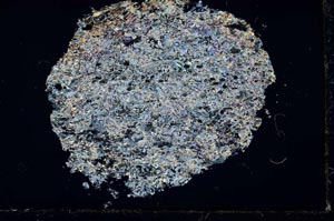 Cross Polarized, S32062