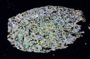 Cross Polarized, S32063/A