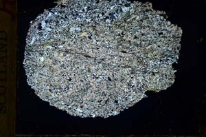 Cross Polarized, S32064