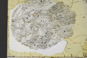 Plane Polarized, S32064