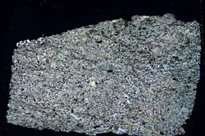 Cross Polarized, S32064/A