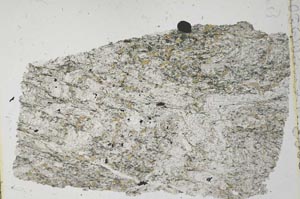 Plane Polarized, S32064/A