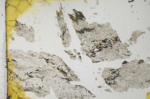 Plane Polarized, S32073