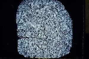 Cross Polarized, S32124