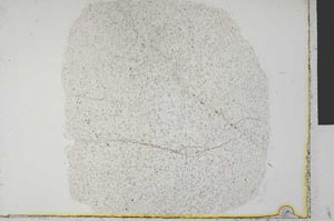 Plane Polarized, S32124