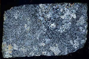 Cross Polarized, S32160