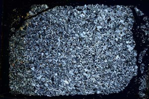 Cross Polarized, S32161