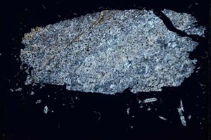 Cross Polarized, S32166