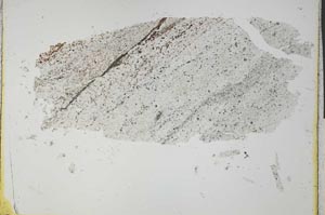 Plane Polarized, S32166