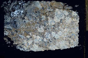 Cross Polarized, S32167