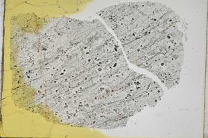 Plane Polarized, S32170