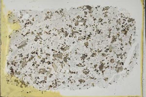 Plane Polarized, S32172